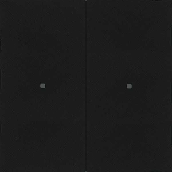INT-FAB2.02S KNX Intensity Alu Black forged 2F, Secure